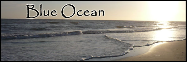 stories/35/images/Blue_Ocean_new_banner.jpg